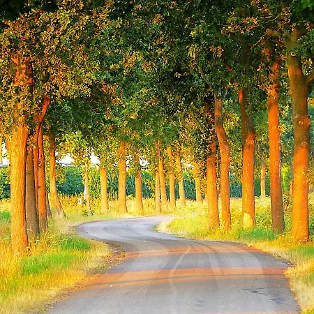 Boerderij Zonneveld