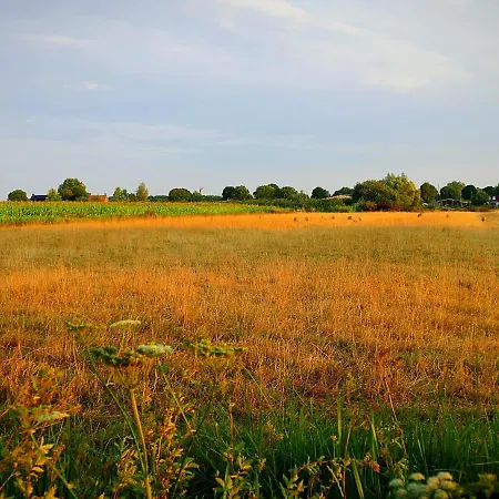 Boerderij Zonneveld Vakantiehuis *