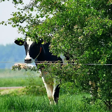 Boerderij Zonneveld