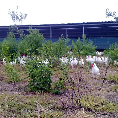 Boerderij Zonneveld Prázdninový dům Rossum (Gelderland)