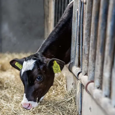 Boerderij Zonneveld *