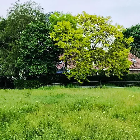Boerderij Zonneveld Prázdninový dům