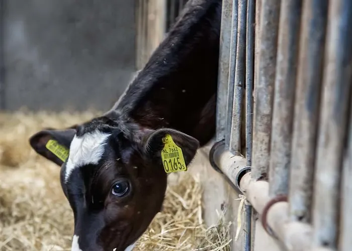 Boerderij Zonneveld *