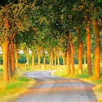 Boerderij Zonneveld