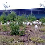 Boerderij Zonneveld Feriehus Rossum (Gelderland)